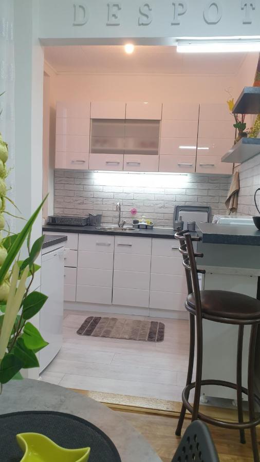 Despot Apartmani Nis Bagian luar foto