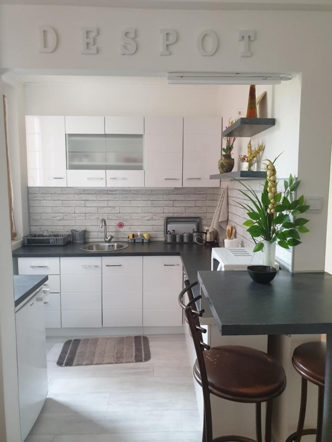 Despot Apartmani Nis Bagian luar foto