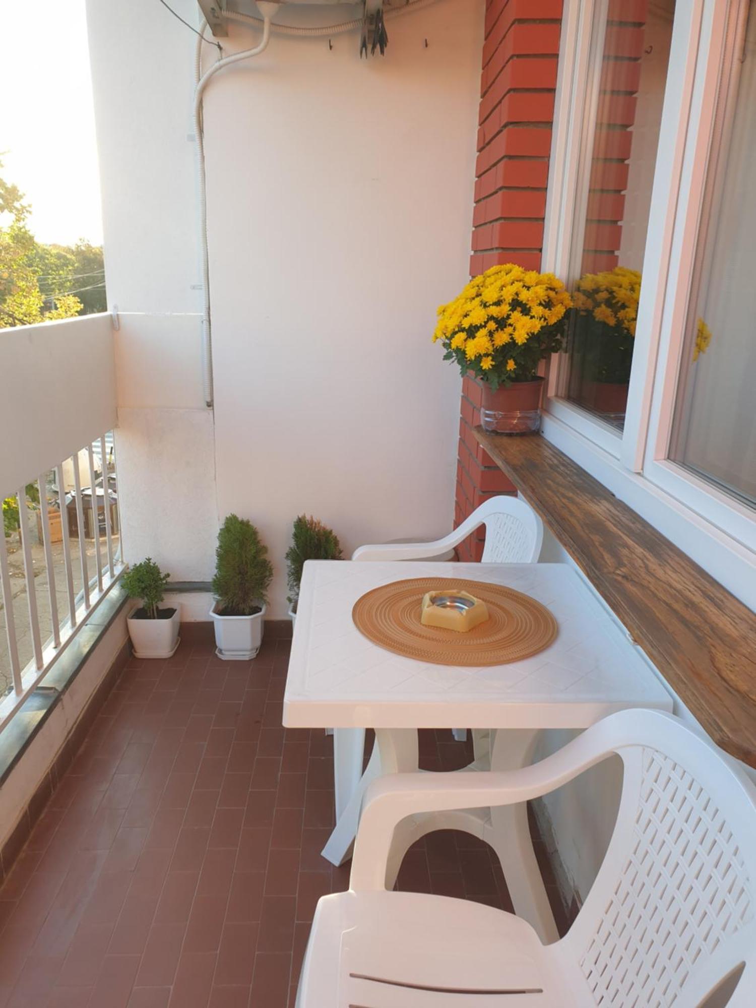 Despot Apartmani Nis Bagian luar foto